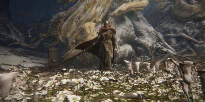 Clash Of Titans: Lena Vs. Elden Ring: A Legendary Battle
