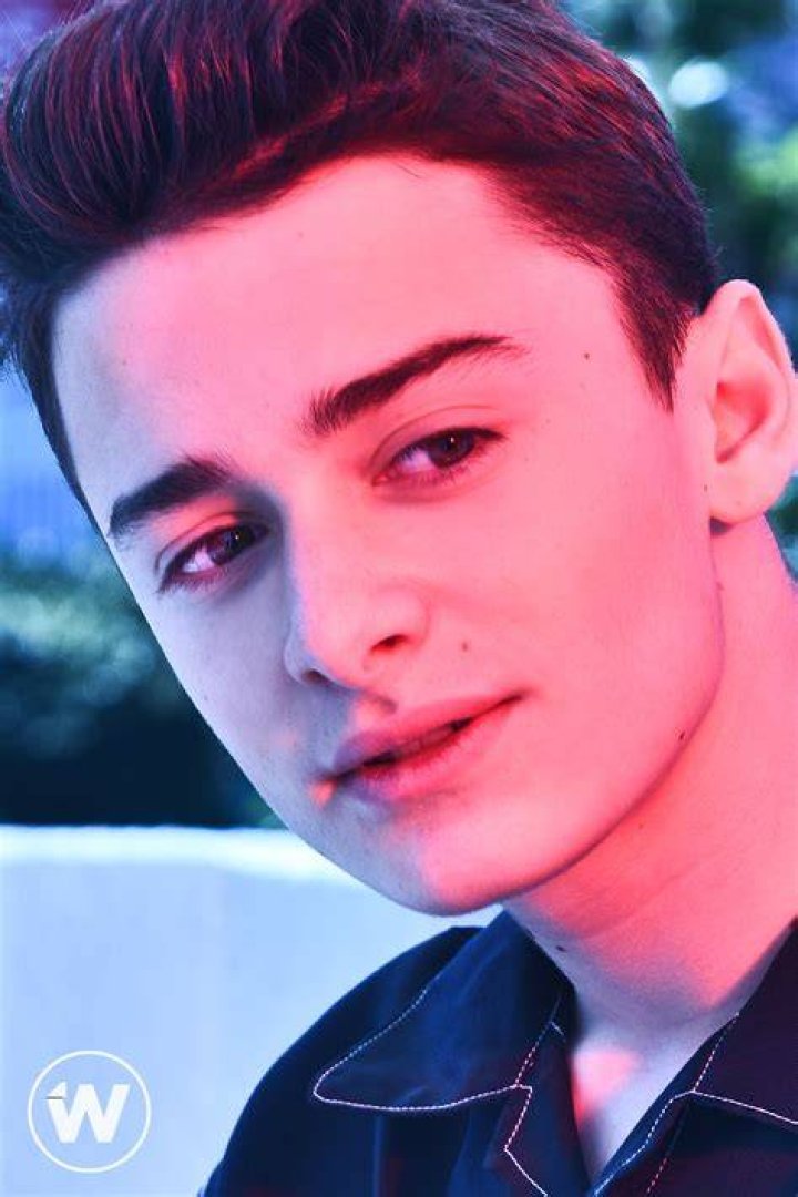 Stranger Things Star Noah Schnapp on Why He Chose a Normal Summer Job